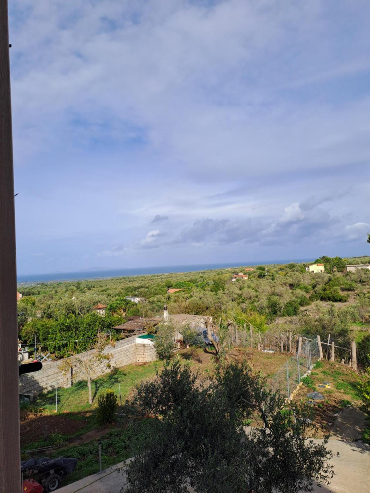 Villa Andres Sassari Bagian luar foto
