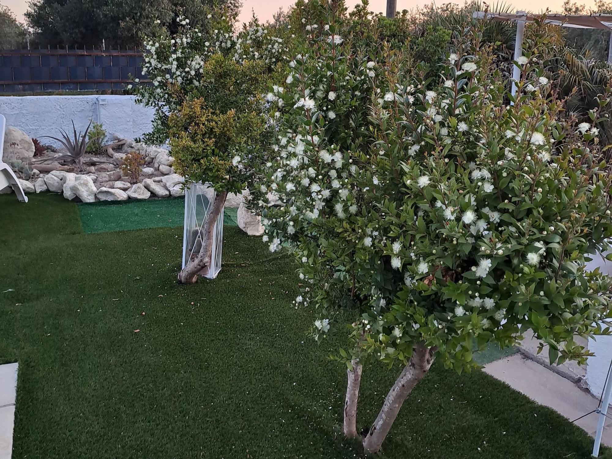 Villa Andres Sassari Bagian luar foto